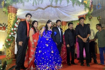 Prithvi Rajan Wedding Reception - 26 of 49