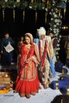 Reema Sen Marriage Photos - 24 of 54