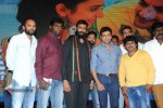 Rough Movie Audio Launch - 36 of 63