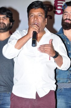 Sankarabharanam Success Meet - 16 of 34