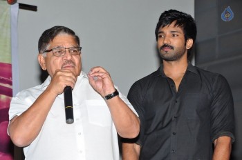 Sarrainodu Press Meet - 35 of 40