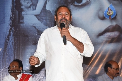 Screenplay Movie Press Meet - 28 of 29