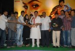 Seema Tapakai Movie Audio Launch - 46 of 95