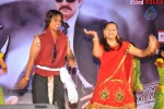 Sevakudu Movie Audio Launch - 88 of 110