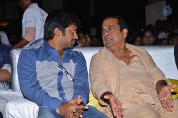 Sher Audio Launch 1 - 26 of 154