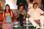 Simha Movie Audio Success Meet - 37 of 237