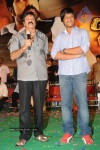 Simha Movie Audio Success Meet - 38 of 237