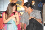 Simha Movie Audio Success Meet - 143 of 237