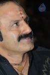 Simha Movie Success Meet Photos - 34 of 152