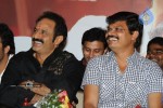 Simha Movie Success Meet Photos - 97 of 152