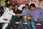 Simha Movie Success Meet Photos - 98 of 152