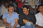 Srimannarayana Audio Launch 03 - 137 of 140