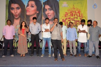 Tanu Vachenanta Song Launch - 10 of 30