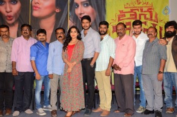 Tanu Vachenanta Song Launch - 12 of 30