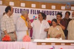 Telugu Film Industry Festival - 229 of 251