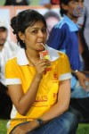 Tollywood Cricket League Match  - 34 of 257