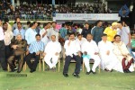 Tollywood Cricket League Match  - 154 of 257