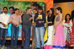 Uyyala Jampala Audio Launch - 45 of 176