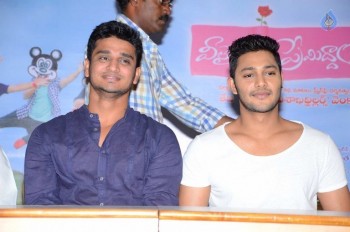 Veelaithe Premiddam Audio Launch - 6 of 28