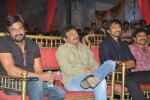 Wanted Movie Audio Launch - 23 of 120