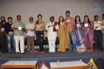 Writer Movie Audio Launch - 58 of 74