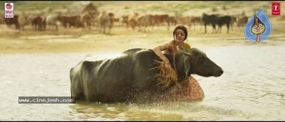 Rangasthalam Song Stills