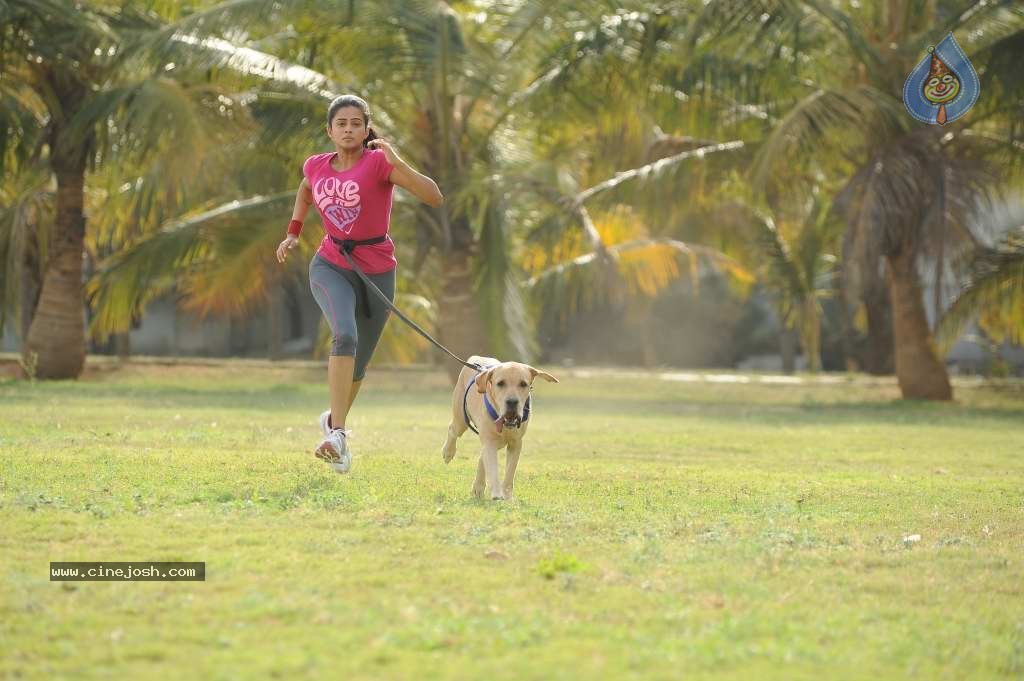 Chandi Movie Stills - 47 / 65 photos