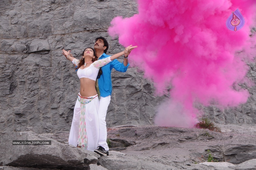 Dhee Ante Dhee Movie New Stills - 58 / 76 photos