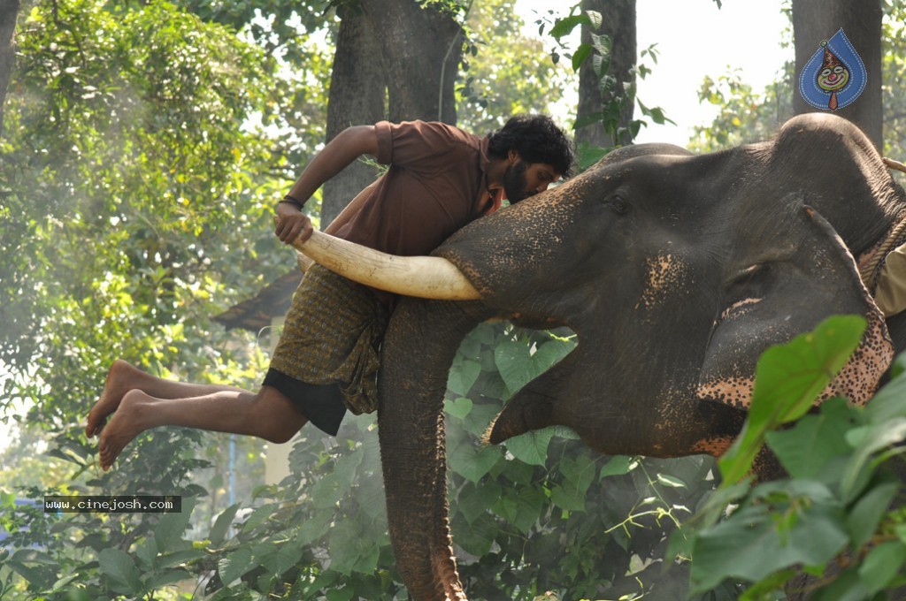 Gajaraju Movie Stills - 11 / 16 photos