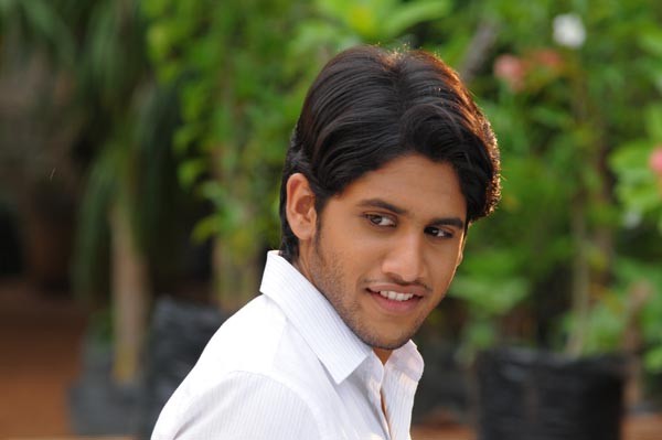 Josh Movie photos - Naga Chaitanya - Karthika  - 7 / 11 photos