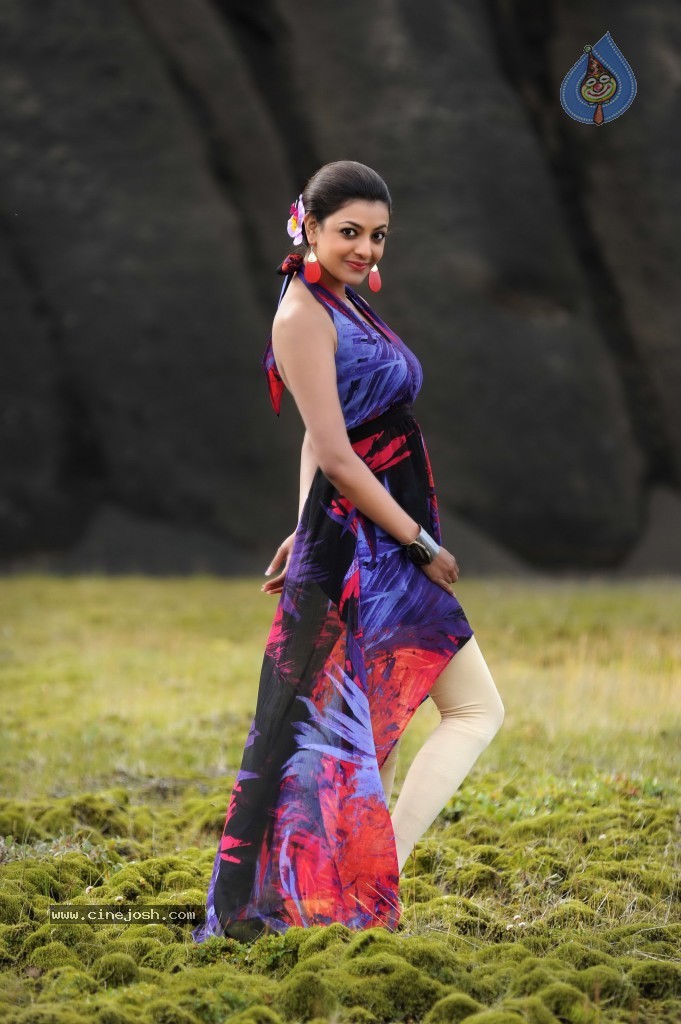 Naayak Movie Gallery - 85 / 144 photos