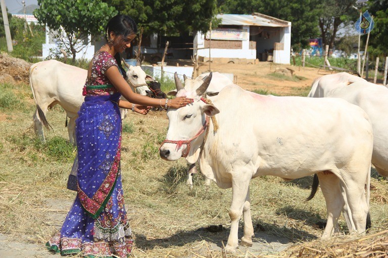 Neelampati Ammoru Movie Photos - 41 / 42 photos