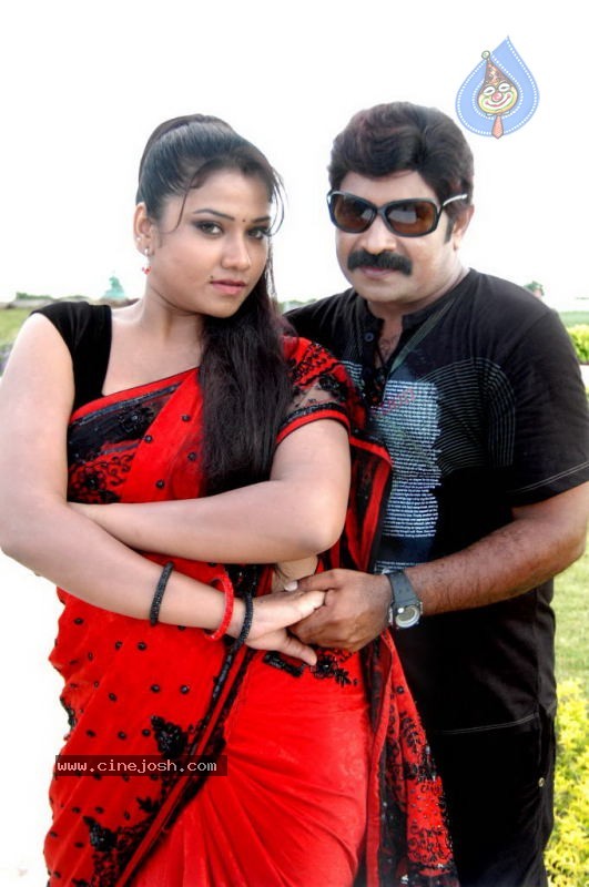 Pandavulu Movie New Stills - 29 / 33 photos