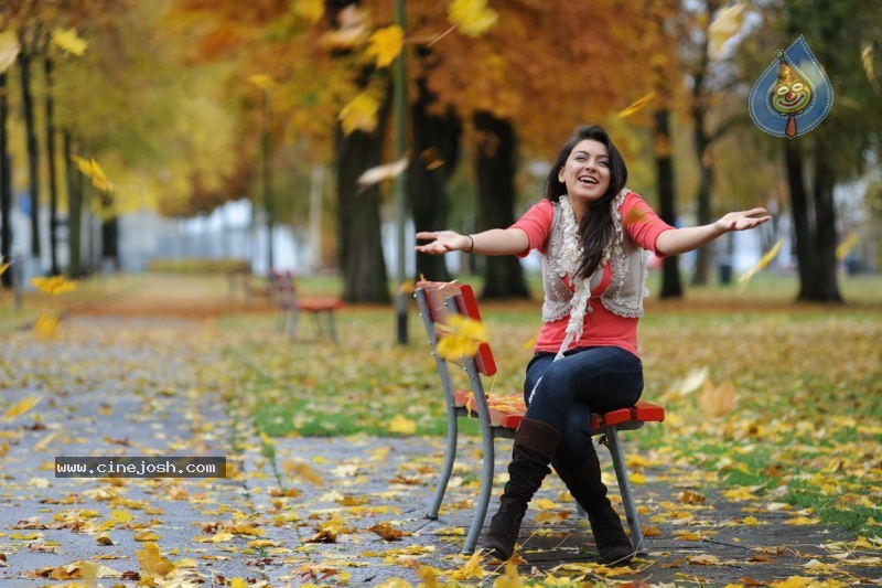 Seetharamula Kalyanam(Lankalo) Movie Stills - 26 / 57 photos