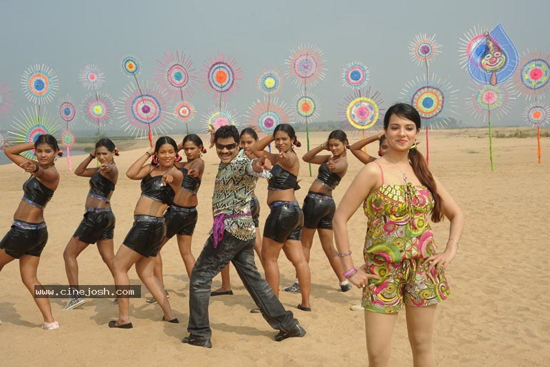 Telugammayi Movie Stills - 13 / 70 photos