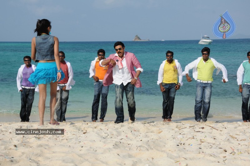 Colourful stills - Venkatesh,Trisha - Namo Venkatesa - 15 / 59 photos