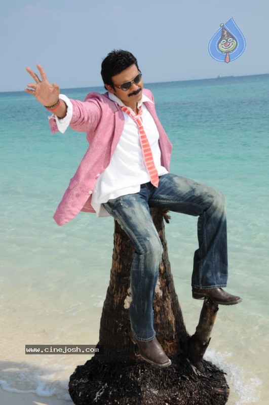 Colourful stills - Venkatesh,Trisha - Namo Venkatesa - 34 / 59 photos