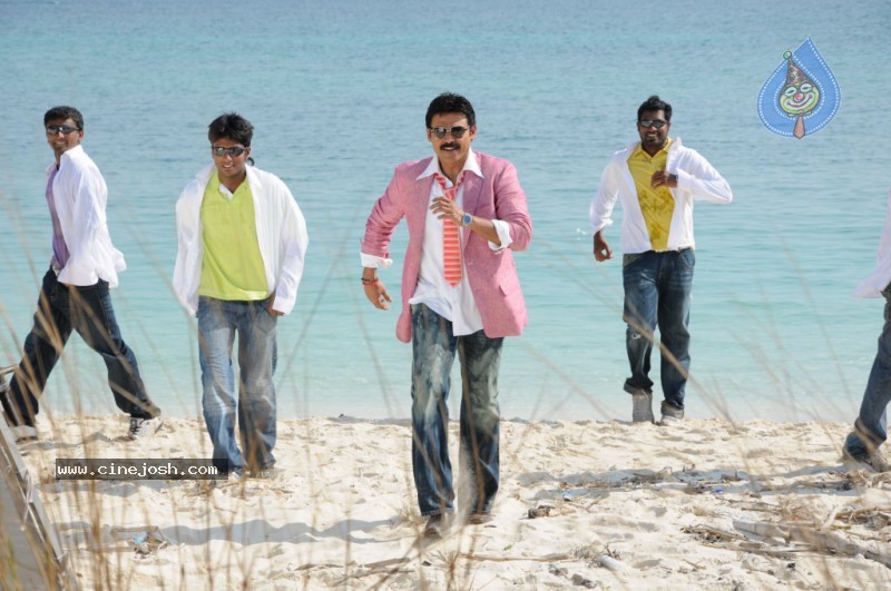 Colourful stills - Venkatesh,Trisha - Namo Venkatesa - 39 / 59 photos