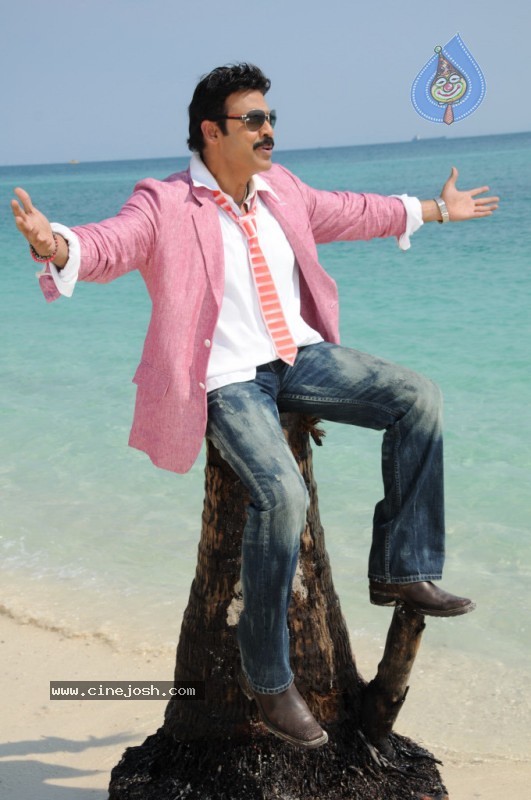 Colourful stills - Venkatesh,Trisha - Namo Venkatesa - 41 / 59 photos