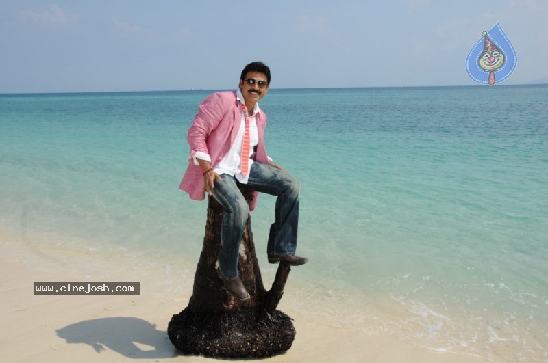 Colourful stills - Venkatesh,Trisha - Namo Venkatesa - 42 / 59 photos