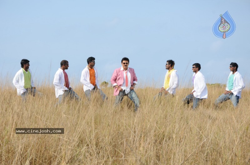 Colourful stills - Venkatesh,Trisha - Namo Venkatesa - 52 / 59 photos