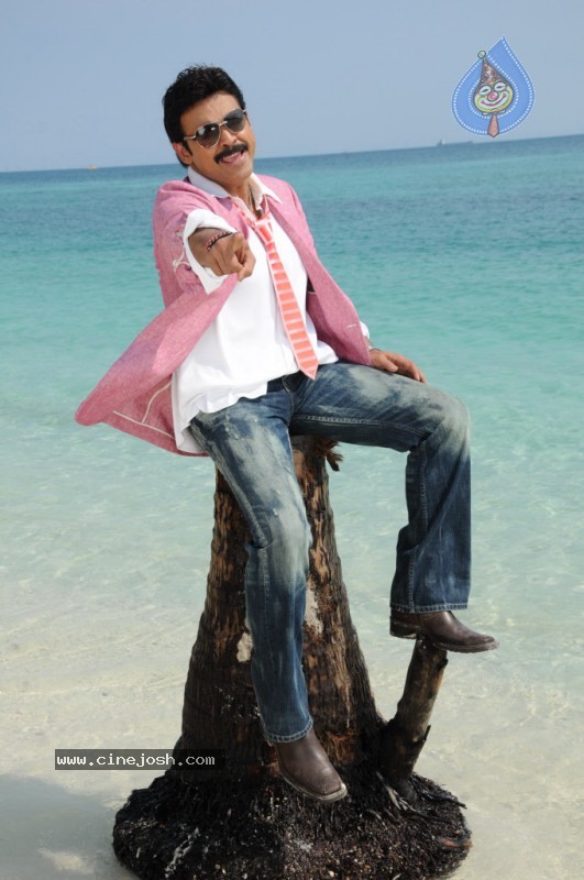 Colourful stills - Venkatesh,Trisha - Namo Venkatesa - 56 / 59 photos