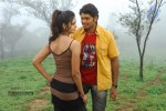 Anarkali Movie New Stills - 2 of 11