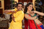 Aranmanai Tamil Movie Stills - 13 of 15