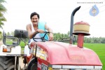 Baava Movie New Stills - 15 of 16