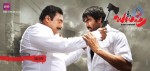 Balupu Movie New Designs - 36 of 24