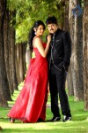 Band Balu Movie New Stills - 39 of 44