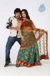 Barishtar Shankar Narayan Stills - 67 of 124