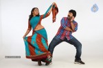 Barishtar Shankar Narayan Stills - 85 of 124