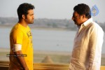 Brindavanam Movie Latest Stills - 13 of 22